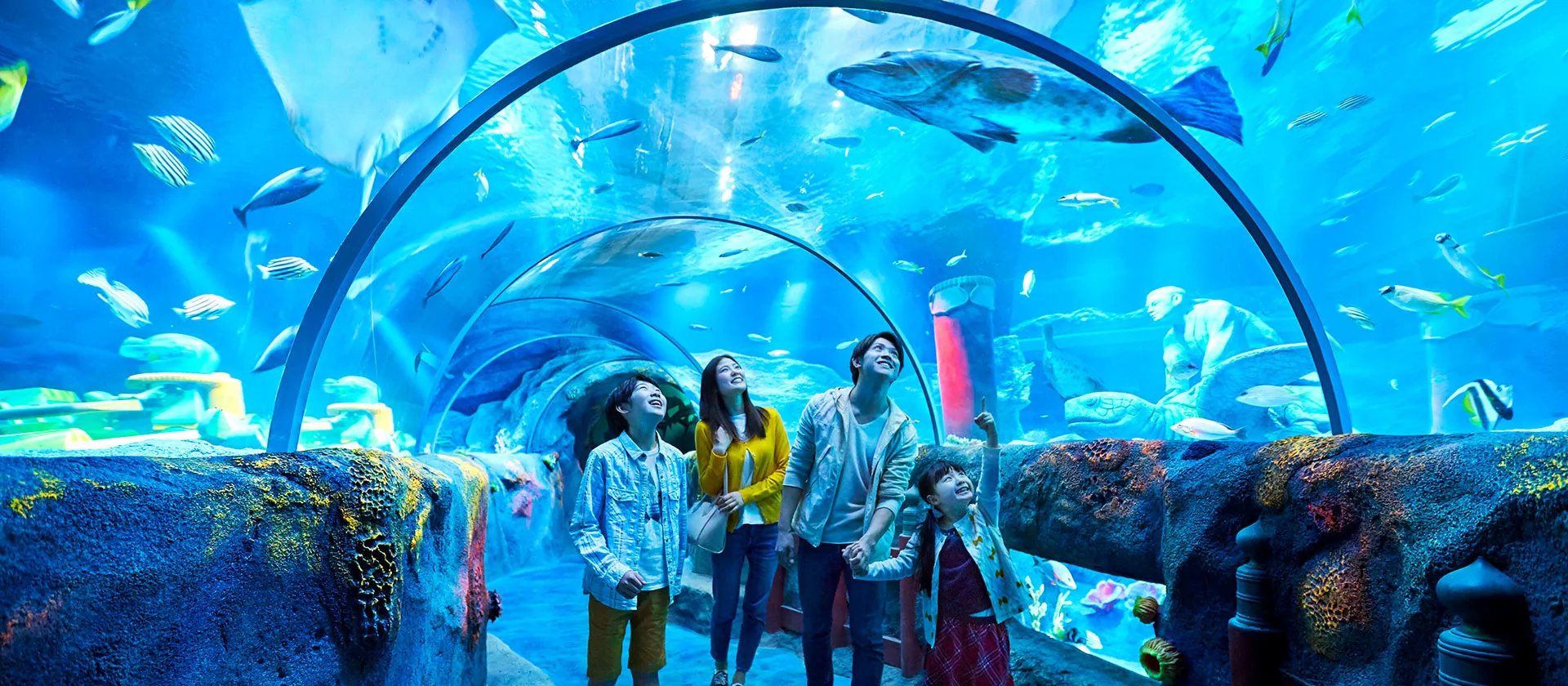 Ripley's Aquarium of the Smokies
